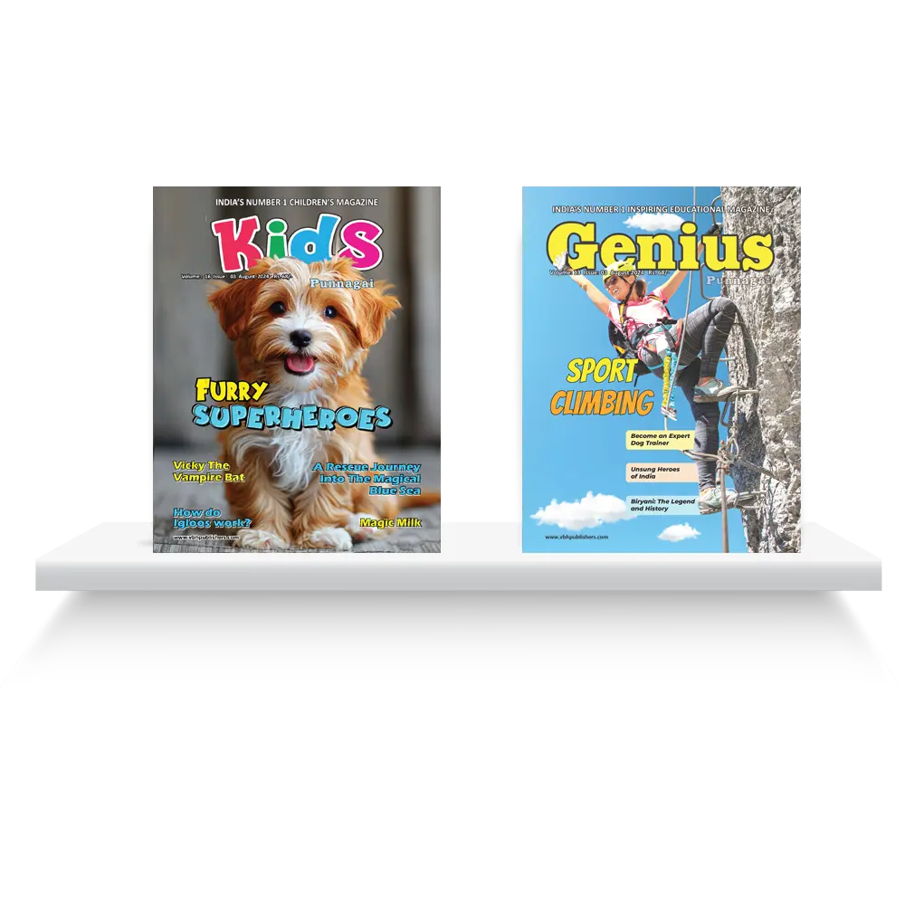 Combo Magazine