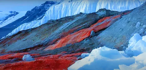 Woolly Mammoth | VBH Publishers