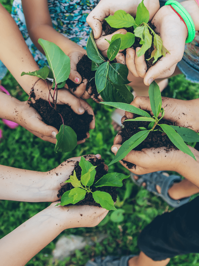 Creative Rainy Day Activities For Preschoolers
