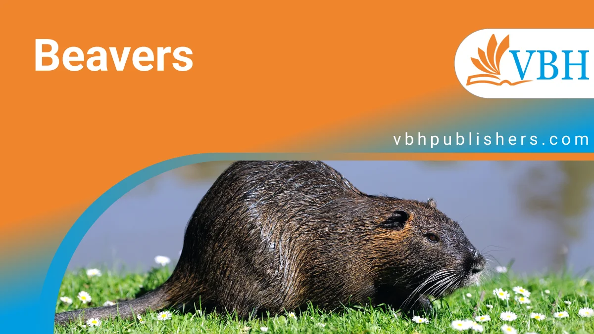 Beavers
