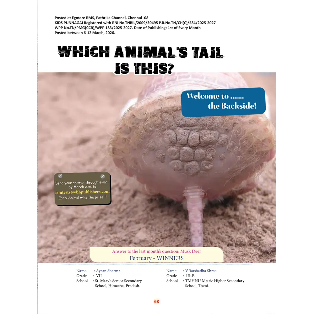 Kids BAckwrapper March 2026